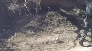الرجل الأسود في الزي الرسمي يسيطر على الهرة ضيق لاتينا