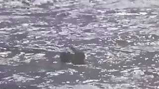 الاباحية أمي بيج ل throatfuck مع ربيب