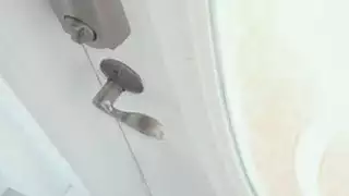 الزوجة الداعر الحلمه كبيرة الأبنوس BFF