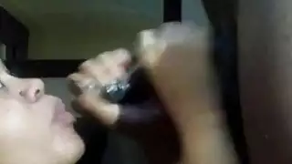 عرض الديك الأسود تمتص كاميرا ويب