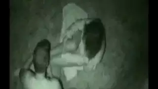theSandfly تشيس الليل