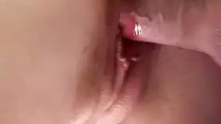 يتلقى الديك عالقا في فطيرة الفراء