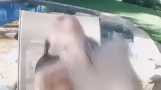جميل هوتي كتكوت ليلى العاصفة أراد أن يمارس الجنس