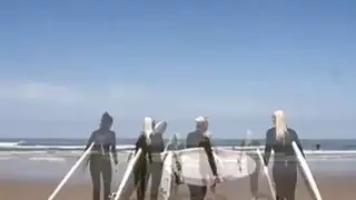 سخونة الفراخ سيرفر