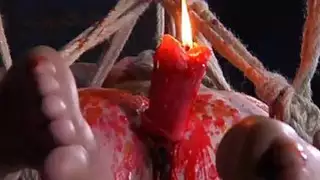 محشوة الكلبات مفعم بالحيوية والبرية داخل القفص