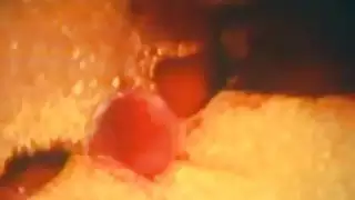 الأفلام الإباحية القديمة الأصلية من 1970