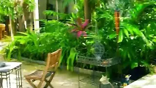 هو زحف فاتنة بيكيني ومارس الجنس من الصعب على الأريكة