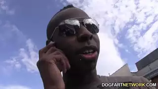 كريسي يحاول الديك الأسود الكبير