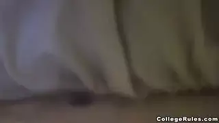 القواعد الكلية
