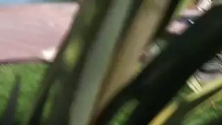 الجيران التجسس ثم شقراء مفلس