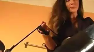 الكلبة يحصل على تنظيفها الأحذية
