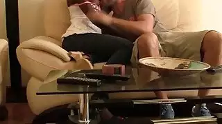 قحة الأفريقية ركوب الديك الأبيض الطويل على الأريكة