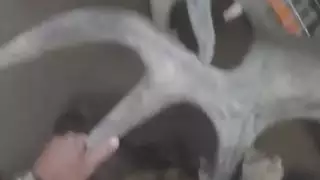 اثنين من مثليات cums بعد أن قصفت بقوة في الهرات الخاصة بهم