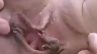 الهواة مدهون صديقة تمتص والملاعين