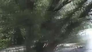 الهاوي bigtit deepthroats بواسطة النهر إلى نقد
