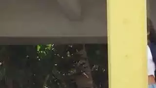 كسر bigtit fucks two في زقاق