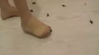 فيلم بالغ مثير للدهشة مشاهدة سولو أنثى