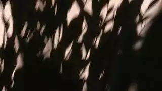 وقحة قرنية تتمتع ركوب
