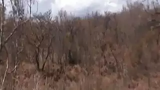 الرقيق الافريقي ركوب schlong في الهواء الطلق