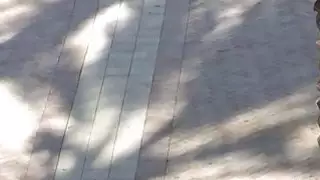 المراهقات تغيير المواقف على الديك