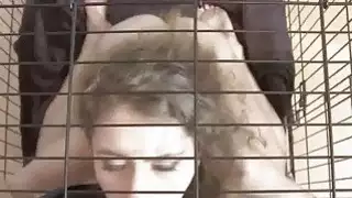 تلقى المتمرد أكبر علاج الحمل