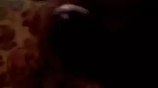 جاي ناعمة مستديرة