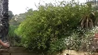 حليب حقنة شرجية مسرحية ميشا بروكس ، شينا شو