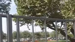 ضربات الهواة الضخمة في الحديقة للنقد