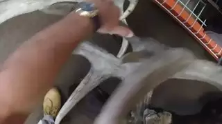 أنا جعلت من شقراء واحد نائب الرئيس من قبل صفق لها