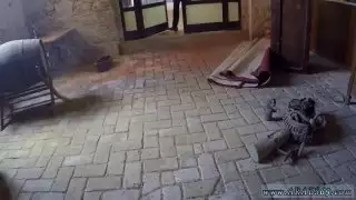 العربية الساخنة محلية الصنع لا مال ولا مشكلة