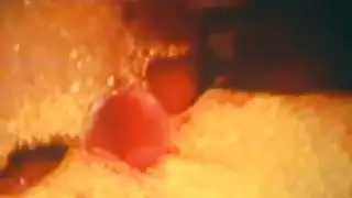سخيف الرجعية الساخنة بشكل جذاب