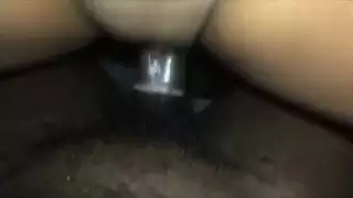 بي بي سي جنيه الرطب دسم الهرة في السيارة