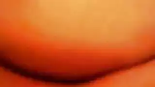 الجنس heisser