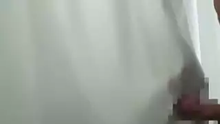 زوجة جديدة لطيفة الحمار