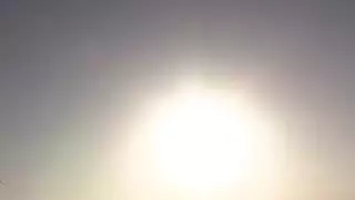 شرطي وهمية يحصل اللسان على الشاطئ