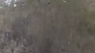 سخيف في الهواء الطلق مع هذه الفتاة لاتينا جوزي جايجر وكيلا