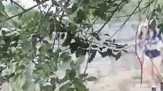 Hot الهواة رباعية في مزرعة