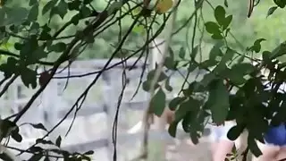 راعية البقر مطيع امتصاص الديك سميكة الحلق العميق