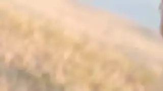 فاتنة التزلج قرنية تارا مورغان وماندي أرماني المتعة معا