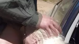 الكلبة مع الشعر الأشقر يحصل على مفترق الحدود