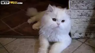 ميغان هو هواة الشباب مع الرغبة في حرق اللعنة