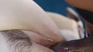 يمكنك مساعدتي مع هذا؟