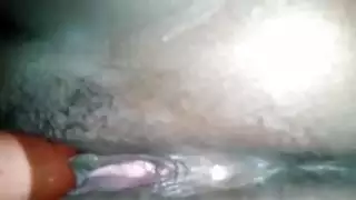 الهرة اللاتينية بالاهتزاز عن قرب