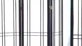 Petite مثير يتمتع بمضايقة الرجال مع يديها الماهرة