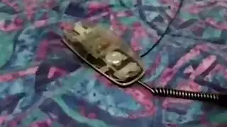 يحصل خبطت فاتنة الحوامل الساخنة في إغرائي three way
