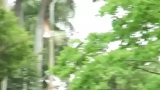 في سن المراهقة رشيق يلعب مع كس
