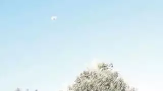 محظوظ المتلصص الملاعين بيكيني بيكيني