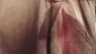 ضخ حتى الهرة لعبت مع
