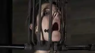 جمال يتلقى عذاب لفطيرة الفراء حلق لها