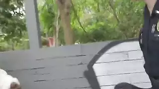 القواد الأسود يحصل جذبه إلى الجنس مع سلوتي الأبيض الشرطة ماغي الخضراء وجوسلين